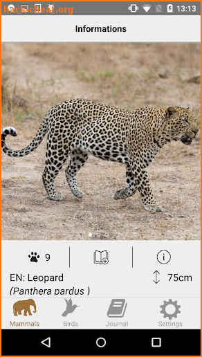 African Safariguide Lite screenshot