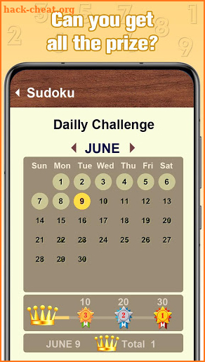 Aged Sudoku screenshot