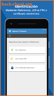 Agencia Tributaria screenshot