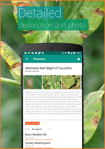 Agrobase - weed, disease, insect screenshot