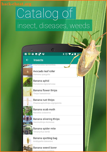 Agrobase - weed, disease, insect screenshot