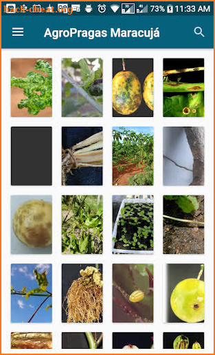 AgroPragas Maracujá screenshot