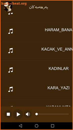 Ahmet Kaya Cassette screenshot