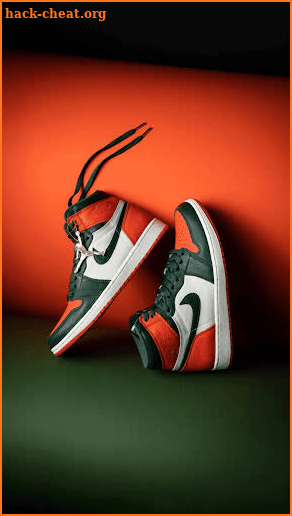 Air Jordan Sneaker screenshot