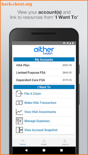 Aither Health FLEX HSA HRA screenshot