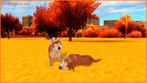 Akita Dog Simulator screenshot