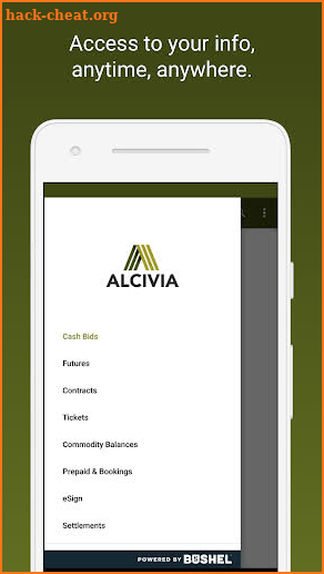 ALCIVIA screenshot