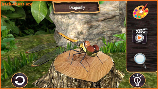 Alive-Bugs3D screenshot