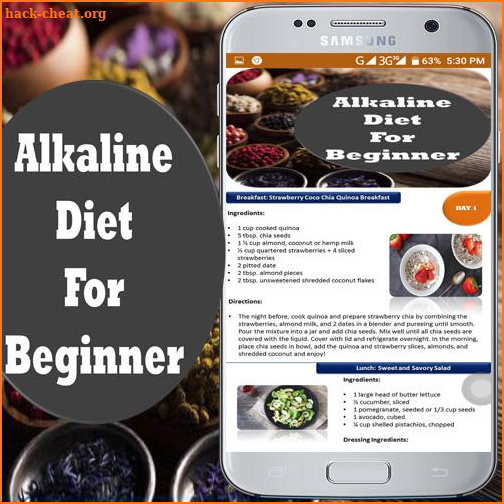 Alkaline Diet for Beginner screenshot