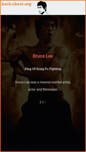 All about Bruce Lee - King Of Kung Fu Fighting screenshot