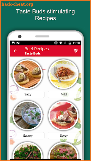 All Beef Recipes Offline, Yummy Meat Recipes Free screenshot