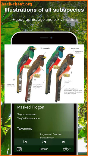 All Birds Ecuador - A Sunbird Field Guide screenshot