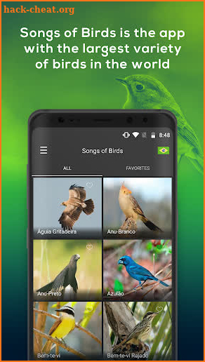 All Birds of North America - Birds Songs screenshot