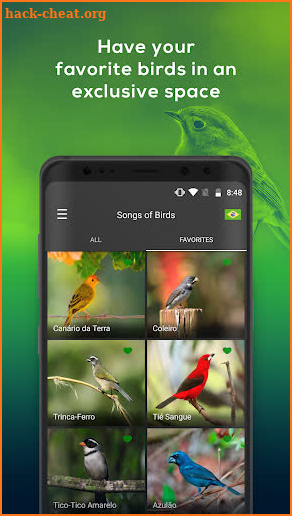 All Birds of North America - Birds Songs screenshot