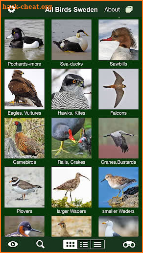 All Birds Sweden - A Sunbird Field Guide screenshot