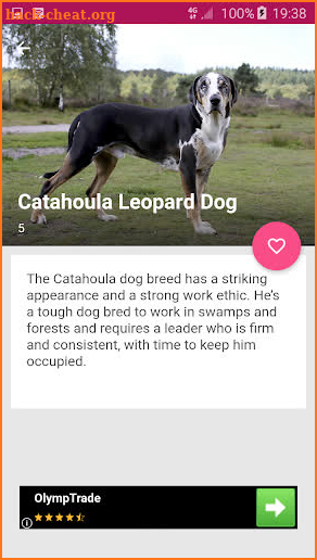 All Dog Breed Profiles screenshot