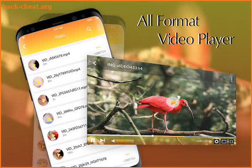 All Format Video Player 2019 screenshot
