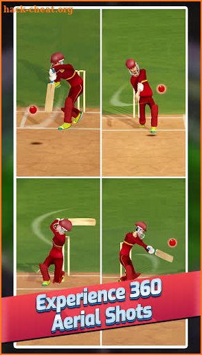 All Star Cricket screenshot