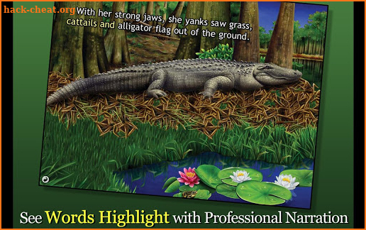 Alligator at Saw Grass Road screenshot