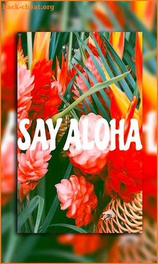 Aloha Wallpapers screenshot