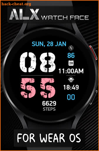 ALX22 LCD Watch Face screenshot