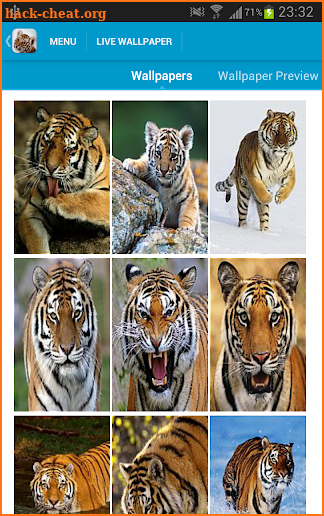Amazing Tigers Wallpapers screenshot