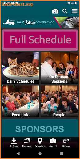 American Association of Feline Practitioners screenshot