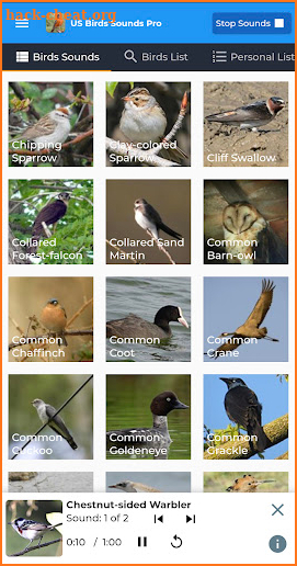 American Birds Sounds Pro screenshot