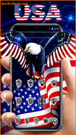 American Flag Eagle Theme screenshot