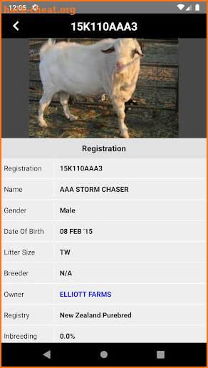 American Kiko Goat Association screenshot