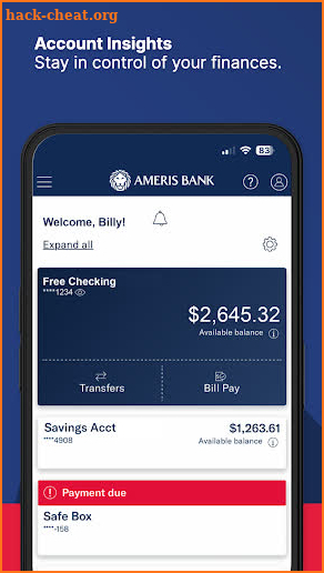 Ameris Mobile screenshot