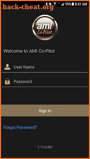 AMI Co-Pilot screenshot