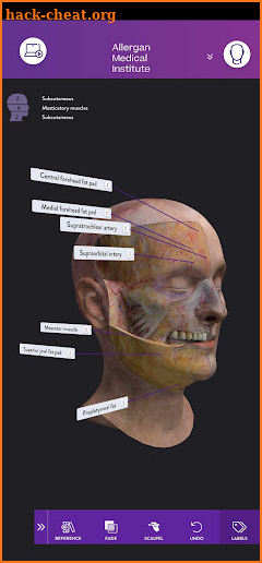 AMI Facial Anatomy and Cadaver screenshot