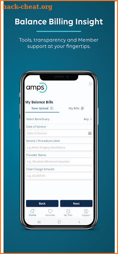 AMPS Connect screenshot