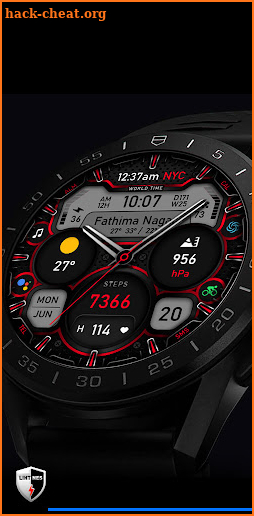 Analog Dual Time Watch 014 screenshot