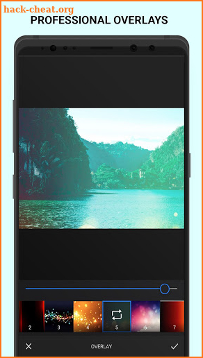 Analog Forest - Palette Forest - Film Filters screenshot