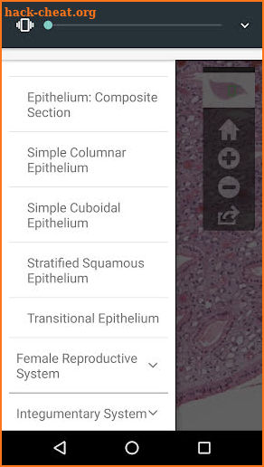 AnatLab Histology screenshot