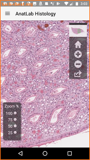 AnatLab Histology screenshot