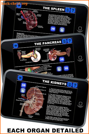 Anatomy 3D: Organs screenshot