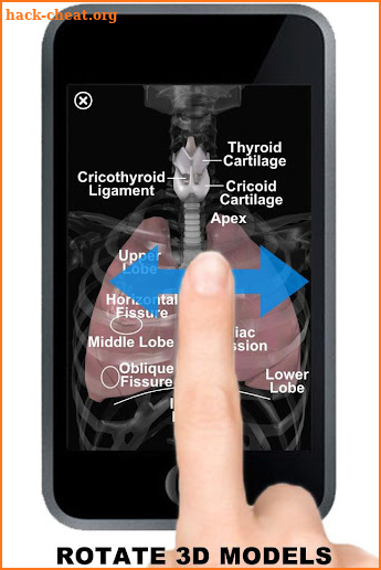 Anatomy 3D: Organs screenshot