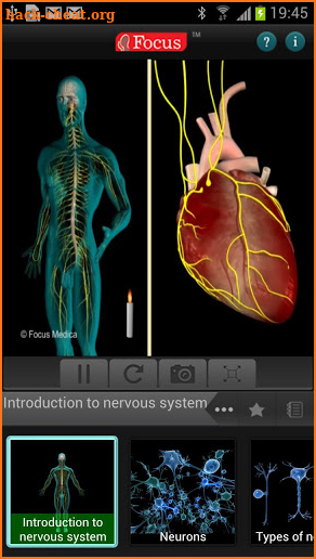 Anatomy and Physiology-Animated screenshot