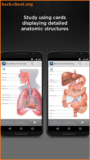 Anatomy & Physiology Made Easy screenshot