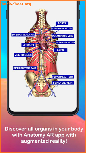 Anatomy AR 4D - Virtual T-Shirt screenshot