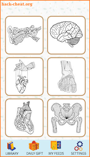 Anatomy Coloring Book screenshot