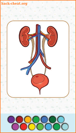 Anatomy Coloring Book screenshot