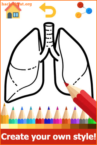 Anatomy Coloring Book - Anatomy Coloring Pages screenshot