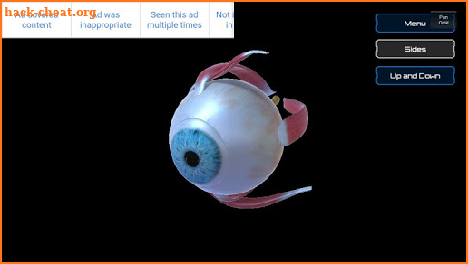 Anatomy Human Eye screenshot