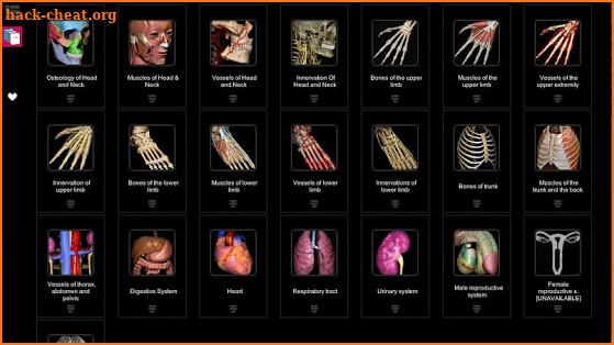 Anatomy Learning - 3D Atlas screenshot