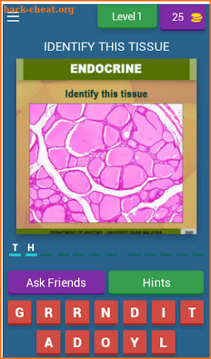 Anatomy Online Quiz: Endocrine System screenshot
