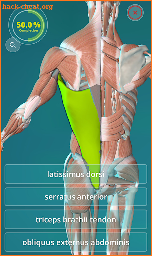 Anatomy Quiz 3D  - human screenshot